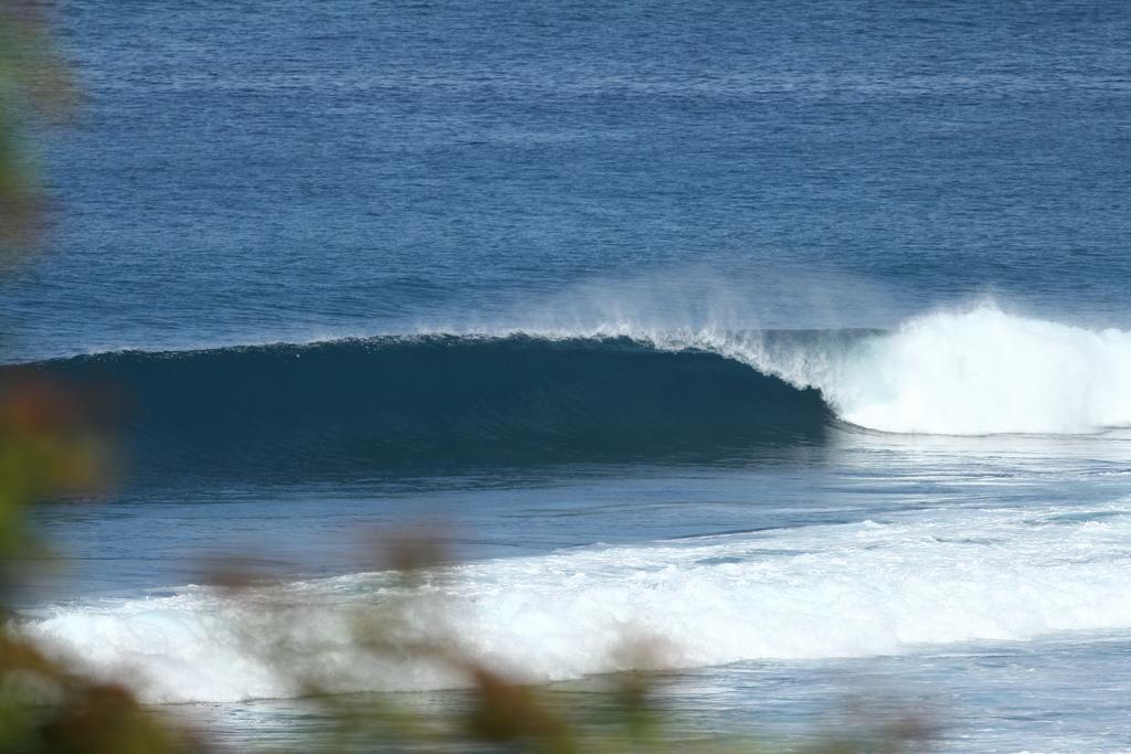 Boa Hill Surf House Hotel Nembrala Eksteriør billede
